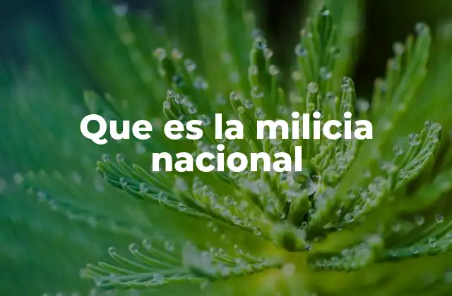 Que es la Milicia Nacional 2 La importancia de la participación ciudadana en la defensa nacional
