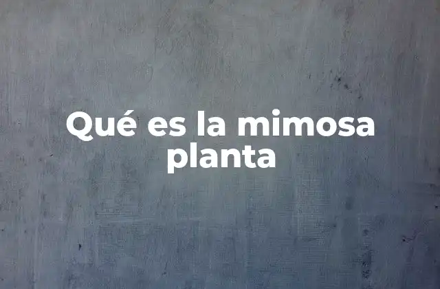 Qué es la Mimosa Planta