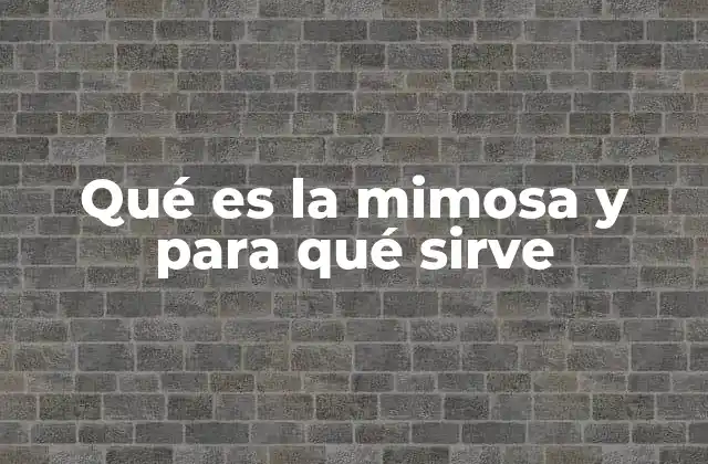 Qué es la Mimosa y para Qué Sirve 2 Las múltiples funciones de esta planta exótica
