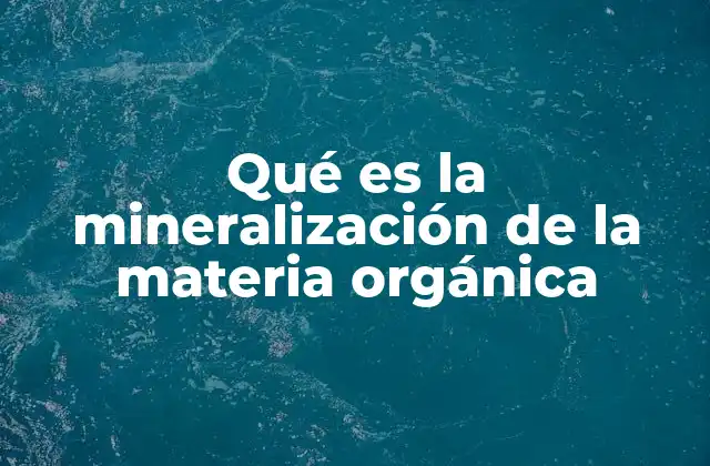 Qué es la Mineralización de la Materia Orgánica
