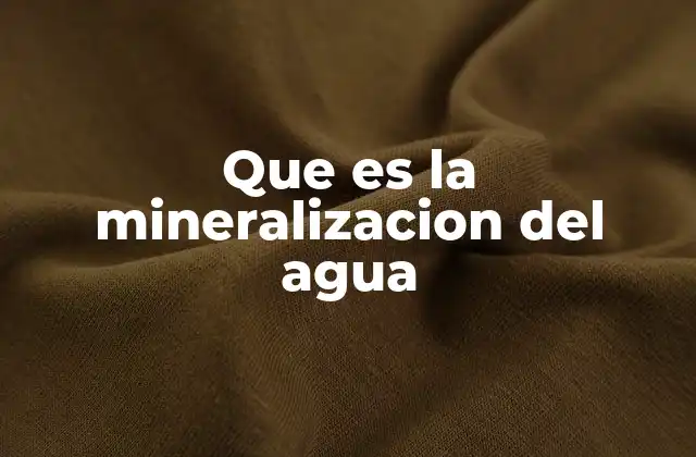 Factores que influyen en el proceso de mineralización