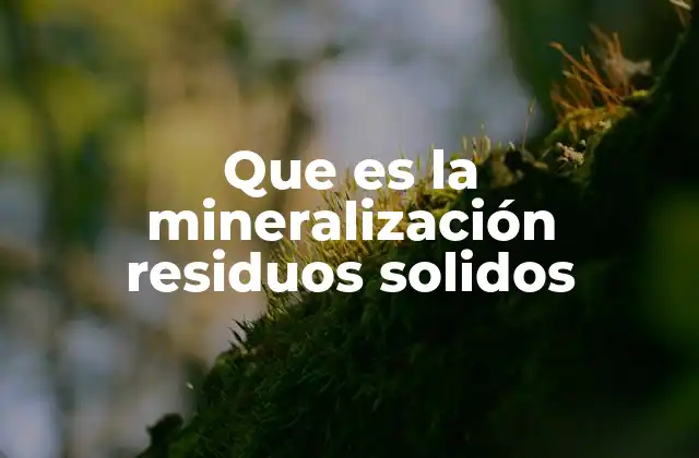 Que es la Mineralización Residuos Solidos