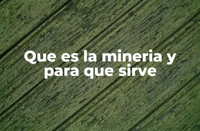 Que es la Mineria y para que Sirve