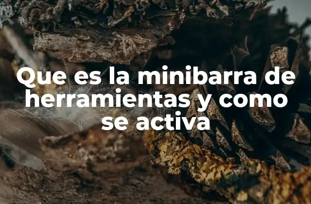 Que es la Minibarra de Herramientas y como Se Activa