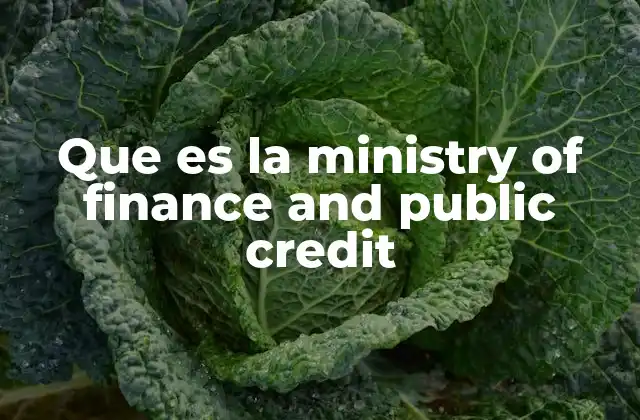 La importancia del Ministerio de Hacienda en la economía nacional