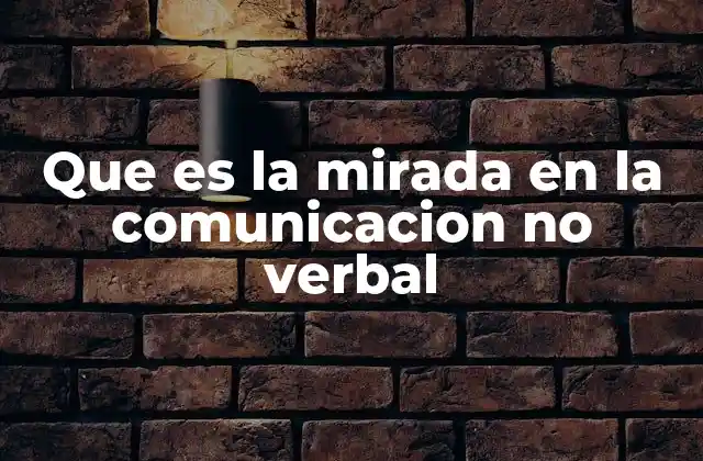 Que es la Mirada en la Comunicacion No Verbal