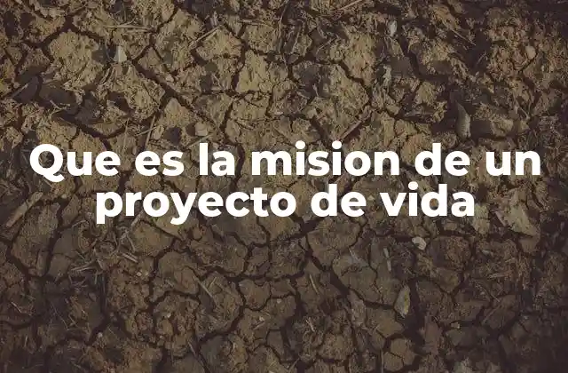 Que es la Mision de un Proyecto de Vida