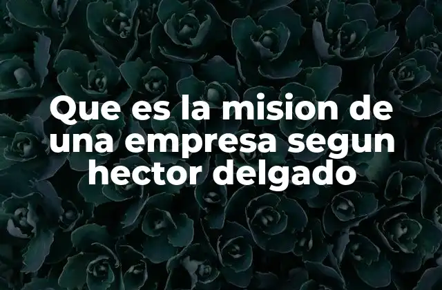 Que es la Mision de una Empresa Segun Hector Delgado