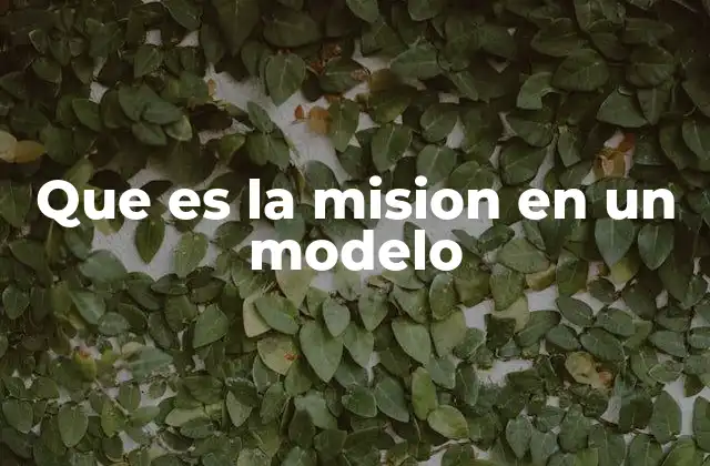 Que es la Mision en un Modelo