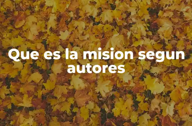 Que es la Mision Segun Autores