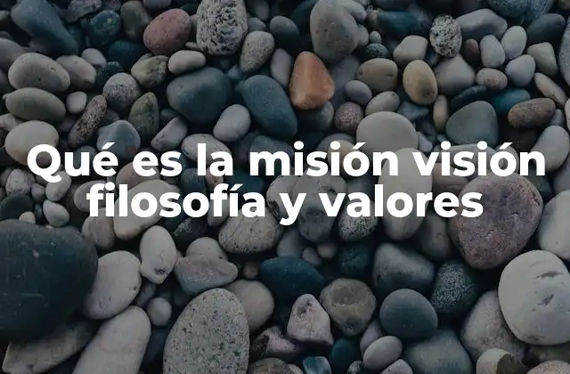 Qué es la Misión Visión Filosofía y Valores