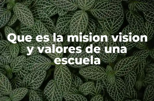 Que es la Mision Vision y Valores de una Escuela