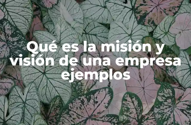 Qué es la Misión y Visión de una Empresa Ejemplos
