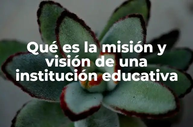 Qué es la Misión y Visión de una Institución Educativa