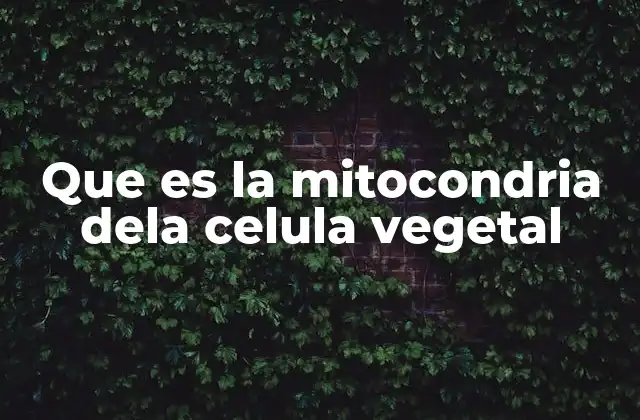 Que es la Mitocondria Dela Celula Vegetal
