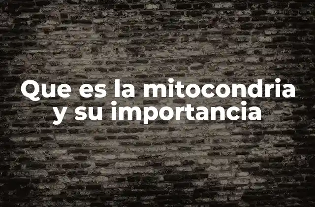 Que es la Mitocondria y Su Importancia