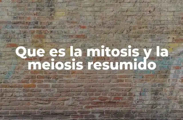 Que es la Mitosis y la Meiosis Resumido