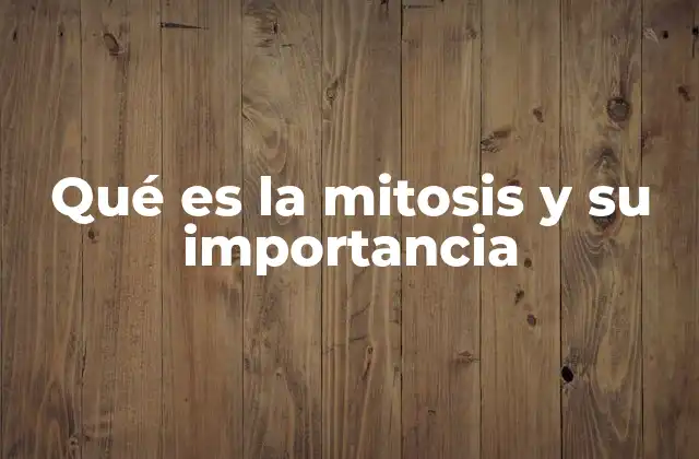 El proceso de división celular y su papel en la vida