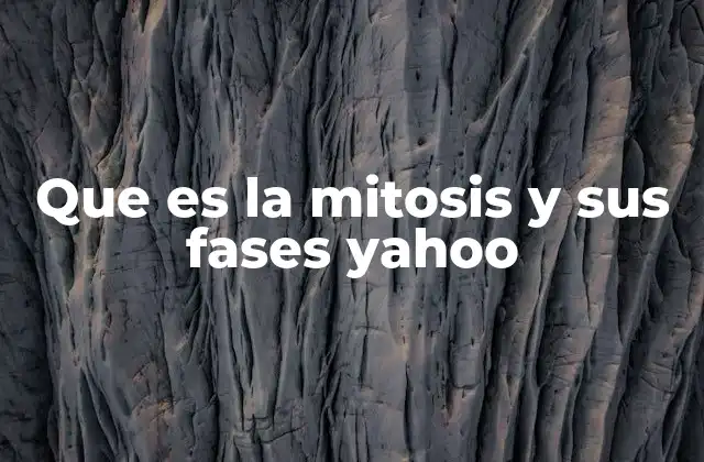 Que es la Mitosis y Sus Fases Yahoo