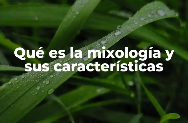 Qué es la Mixología y Sus Características