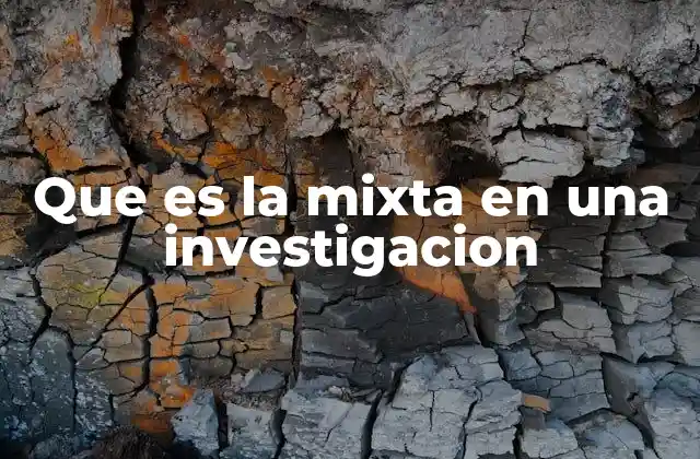 Que es la Mixta en una Investigacion