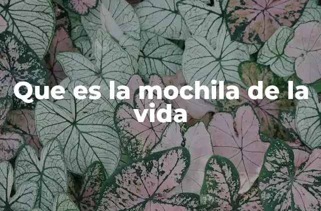 Que es la Mochila de la Vida