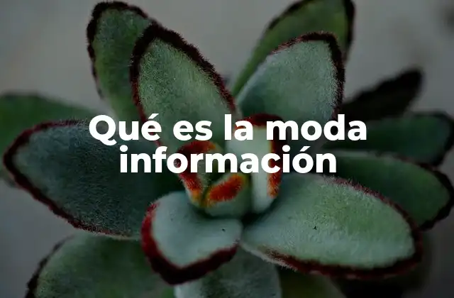 Qué es la Moda Información