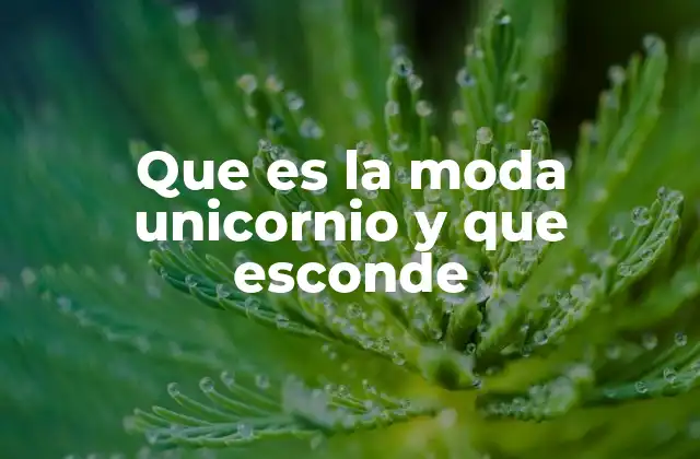 Que es la Moda Unicornio y que Esconde