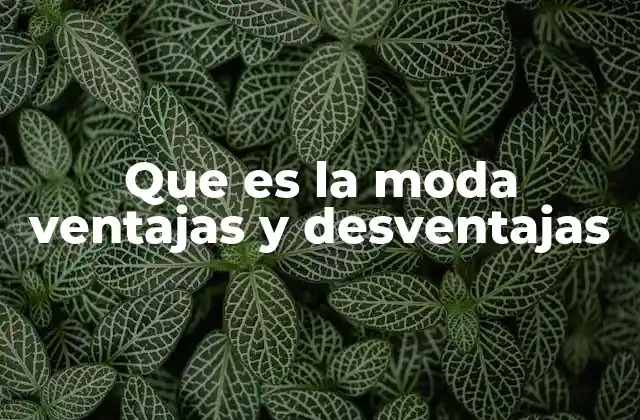 Que es la Moda Ventajas y Desventajas