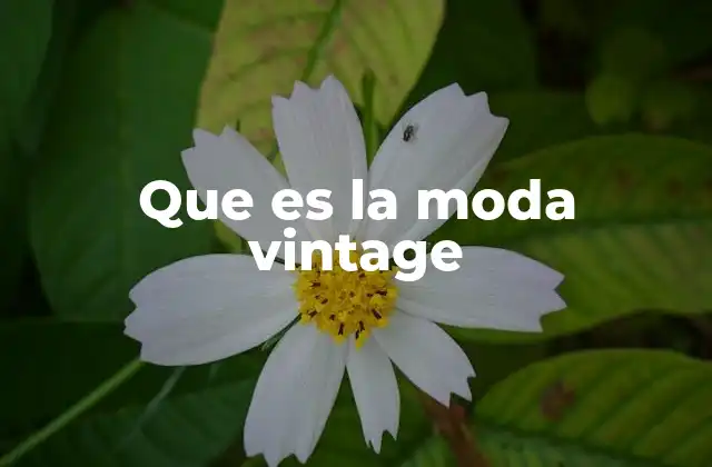 Que es la Moda Vintage
