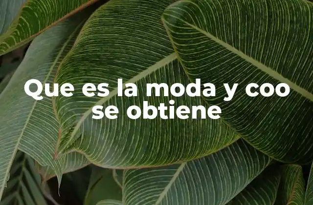 Que es la Moda y Coo Se Obtiene