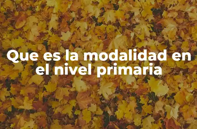 Que es la Modalidad en el Nivel Primaria
