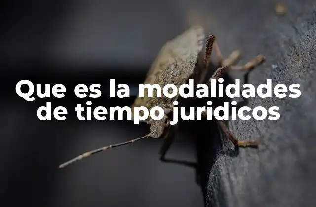 Que es la Modalidades de Tiempo Juridicos