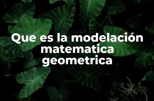 Que es la Modelación Matematica Geometrica