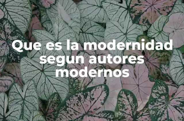 Que es la Modernidad Segun Autores Modernos
