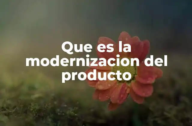 Que es la Modernizacion Del Producto