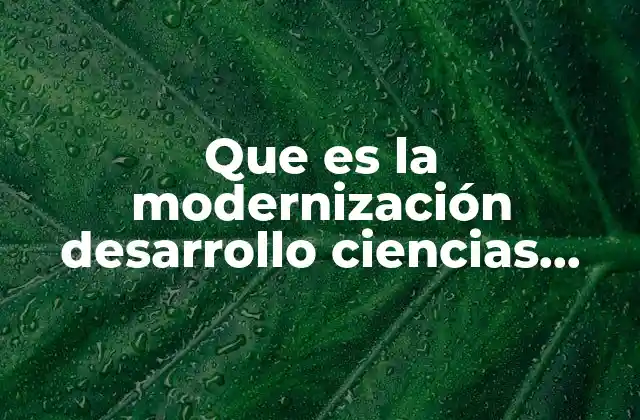Que es la Modernización Desarrollo Ciencias Sociales