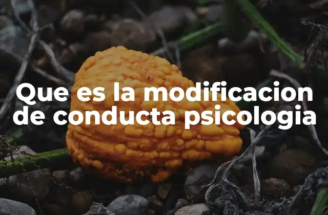 Que es la Modificacion de Conducta Psicologia
