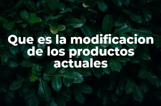 Que es la Modificacion de los Productos Actuales