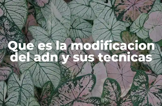 Que es la Modificacion Del Adn y Sus Tecnicas 2 La historia detrás de la edición genética