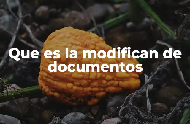Que es la Modifican de Documentos