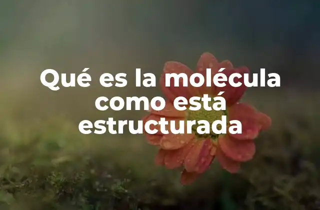 Qué es la Molécula como Está Estructurada