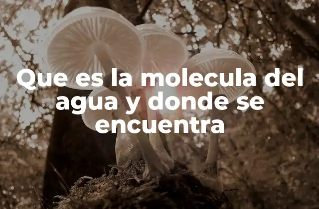 Que es la Molecula Del Agua y Donde Se Encuentra