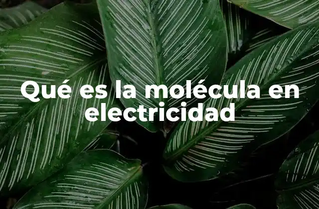 Qué es la Molécula en Electricidad