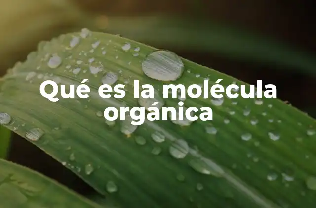 Qué es la Molécula Orgánica