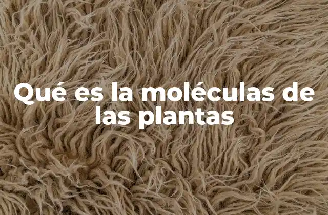 Qué es la Moléculas de las Plantas