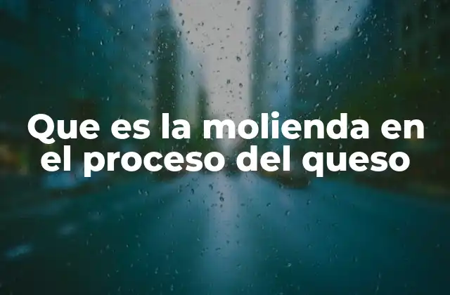 Que es la Molienda en el Proceso Del Queso