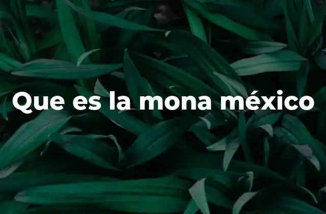 Que es la Mona México