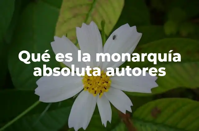 Qué es la Monarquía Absoluta Autores