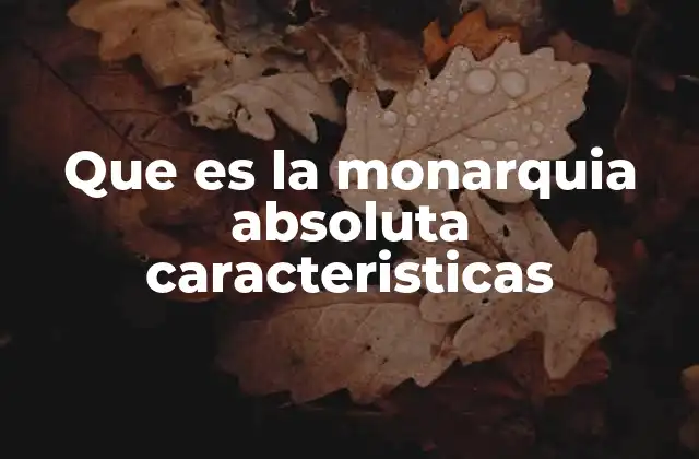 Que es la Monarquia Absoluta Caracteristicas